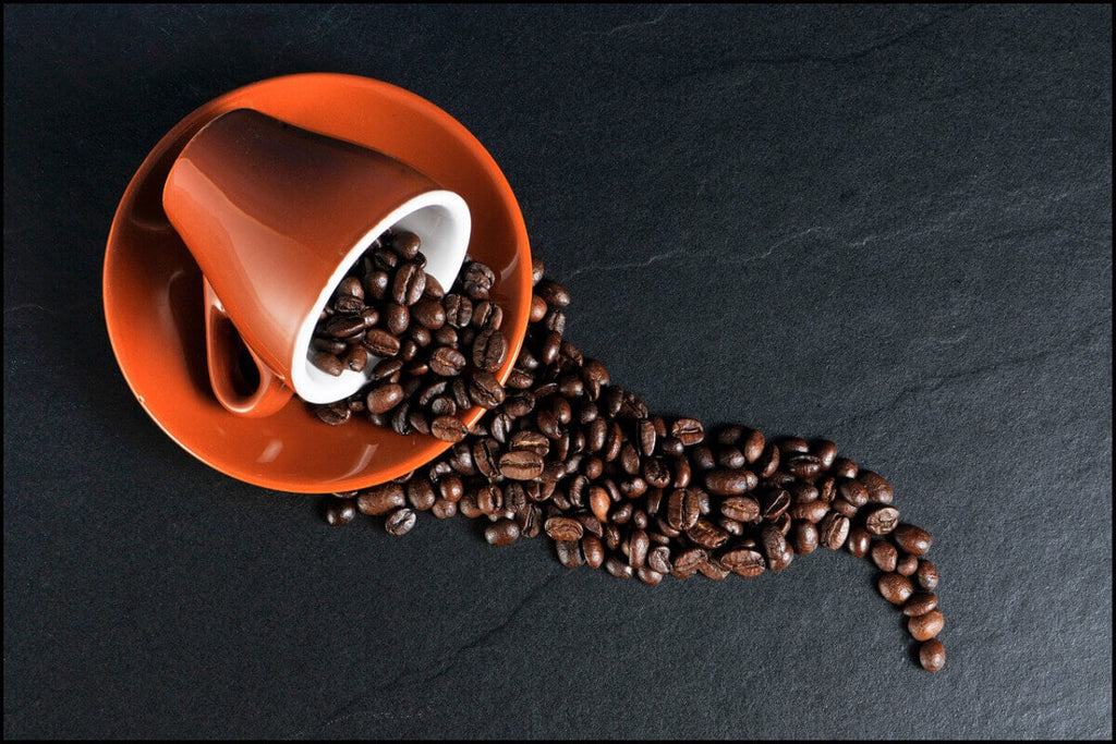 Best Mushroom Coffee: The Ultimate Beginner's Guide
